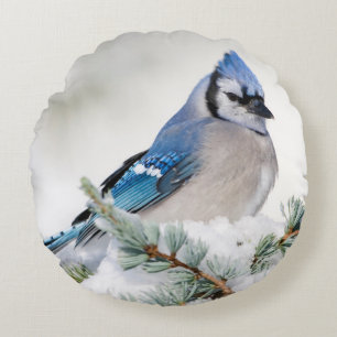 Blauer Häher in Blauer Atlas-Zeder Rundes Kissen