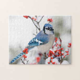 Blauer Häher in Gewöhnlicher Winterbeere Puzzle