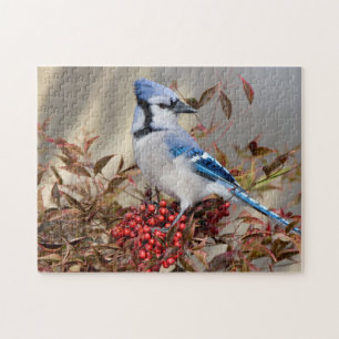 Blauer Häher in Nandina Heavenly Bamboo Puzzle