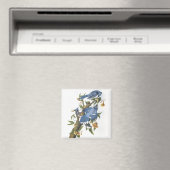 Blauer Häher, John James Audubon Magnet (In Situ (Geschirrspüler))