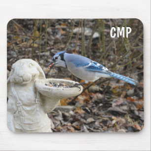 Blauer Häher mit vollem Mund am Futterplatz Mousepad