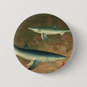 Blauer Hai beim Fressen von Fischen, Vintage Meere Button