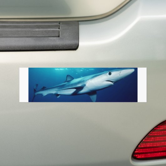 Blauer Haifisch Autoaufkleber (Auf Auto)