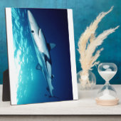 Blauer Haifisch Fotoplatte (Seite)
