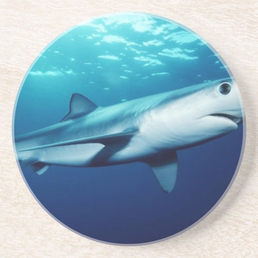Blauer Haifisch Getränkeuntersetzer (Vorne)