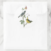 Blauer Halbblauer, John Audubon Runder Aufkleber (Tasche)