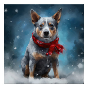 Blauer Heeler Hund im Schnee Weihnachten  Poster