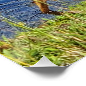 Blauer Held Poster (Ecke)
