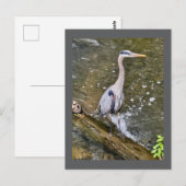 Blauer Held Postkarte (Vorne/Hinten)