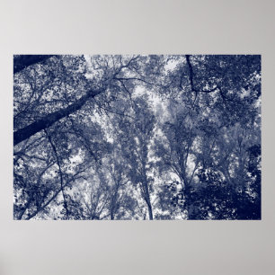 Blauer Herbst Poster