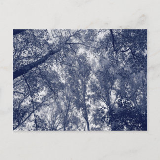 Blauer Herbst Postkarte
