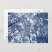 Blauer Herbst - Zyanotypeffekt Postkarte (Vorne/Hinten)