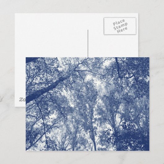 Blauer Herbst - Zyanotypeffekt Postkarte (Vorne/Hinten)
