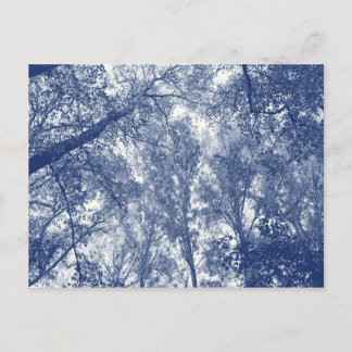 Blauer Herbst - Zyanotypeffekt Postkarte
