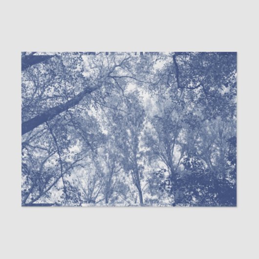 Blauer Herbst - Zyanotypeffekt Seidenpapier (Vorderseite)