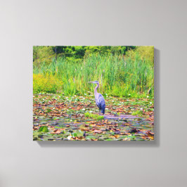 Blauer Heron, Seerosen, hübscher Wildvogel, Natur Leinwanddruck