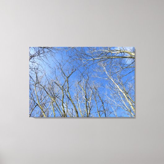 Blauer Himmel, Bäume im Winter Leinwanddruck (Vorderseite)