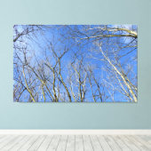 Blauer Himmel, Bäume im Winter Leinwanddruck (Insitu (Holzboden))