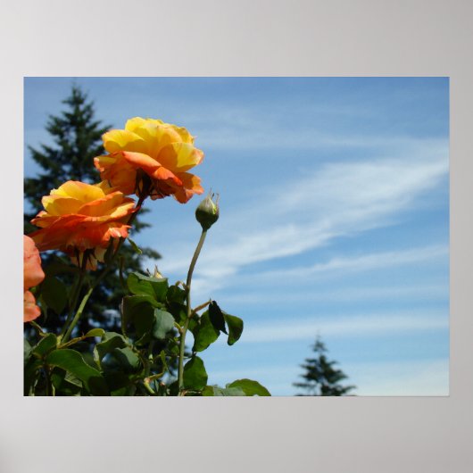 Blauer Himmel-feine Kunst druckt orange Poster (Vorne)