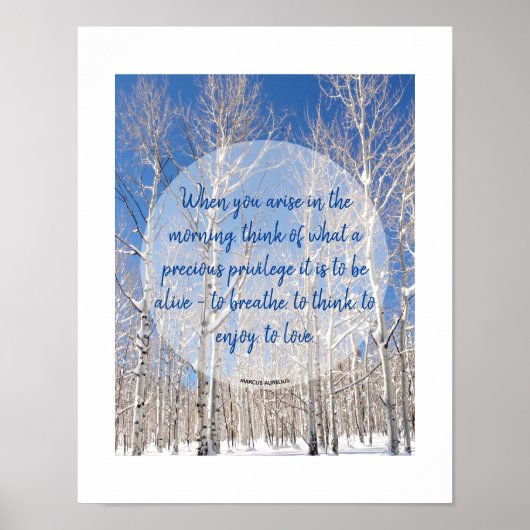 Blauer Himmel im Schnee im Foto Poster (Vorne)