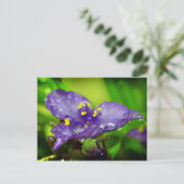 Blauer Himmel Postkarte (Stehend Vorderseite)