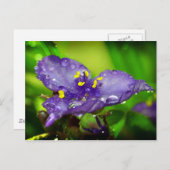 Blauer Himmel Postkarte (Vorne/Hinten)