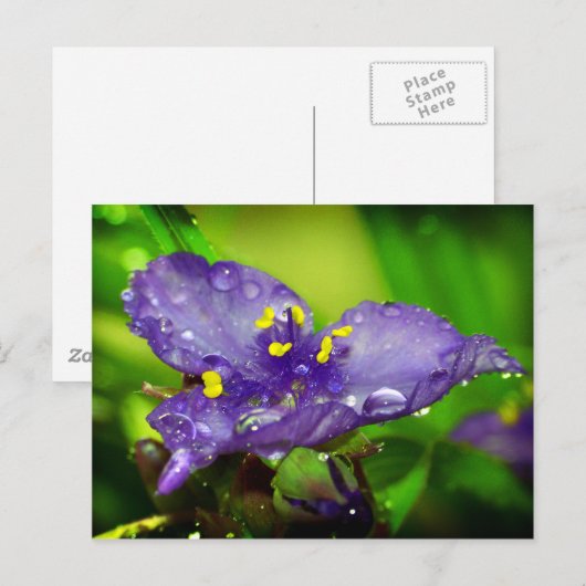 Blauer Himmel Postkarte (Vorne/Hinten)