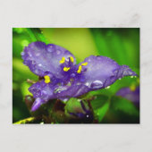 Blauer Himmel Postkarte (Vorderseite)