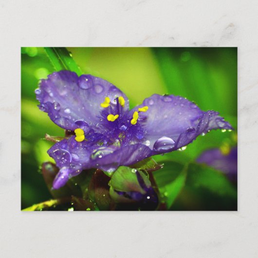 Blauer Himmel Postkarte (Vorderseite)