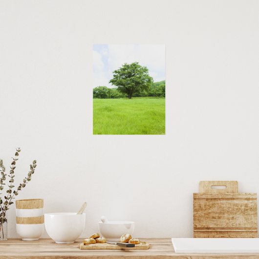 Blauer Himmel und Grasfeld Poster (Küche)