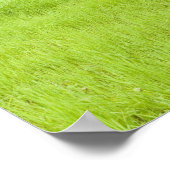 Blauer Himmel und Grasfeld Poster (Ecke)