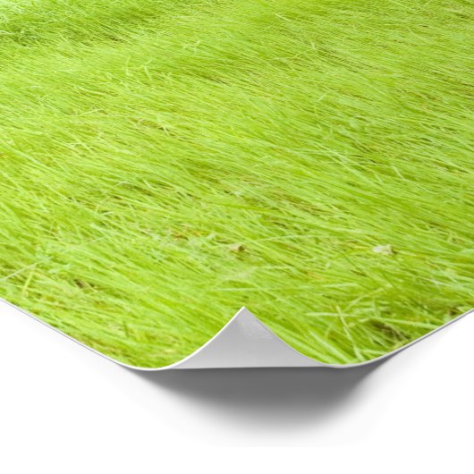 Blauer Himmel und Grasfeld Poster (Ecke)