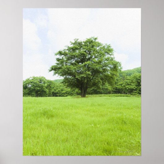 Blauer Himmel und Grasfeld Poster (Vorne)