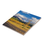 Blauer Himmel und Wolken über einer Wiese Fliese (Seite)