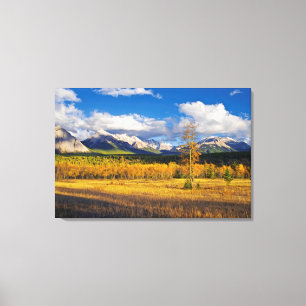 Blauer Himmel und Wolken über einer Wiese Leinwanddruck