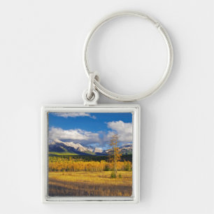 Blauer Himmel und Wolken über einer Wiese Schlüsselanhänger