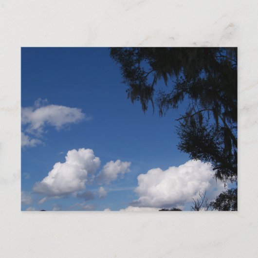 Blauer Himmel, weiße Wolken und Baum auf einer Pos Postkarte (Vorderseite)
