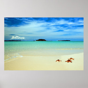 Blauer Himmel, weißer Sand und Seesterne Belitun Poster