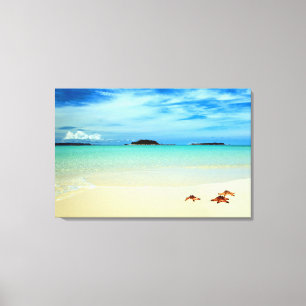 Blauer Himmel, weißer Sand und Starfish   Belitun Leinwanddruck