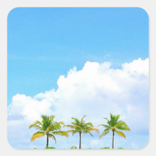 Blauer Himmel Wolken und Blank Palms Template Quadratischer Aufkleber