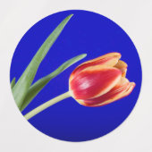 Blauer Hintergrund Etiketten (Design 1)