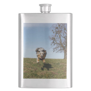 Blauer Hirtenspringer Flachmann