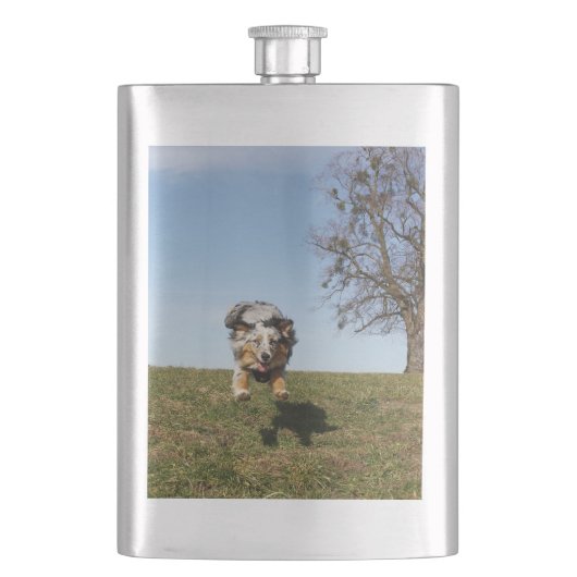 Blauer Hirtenspringer Flachmann (Vorderseite)