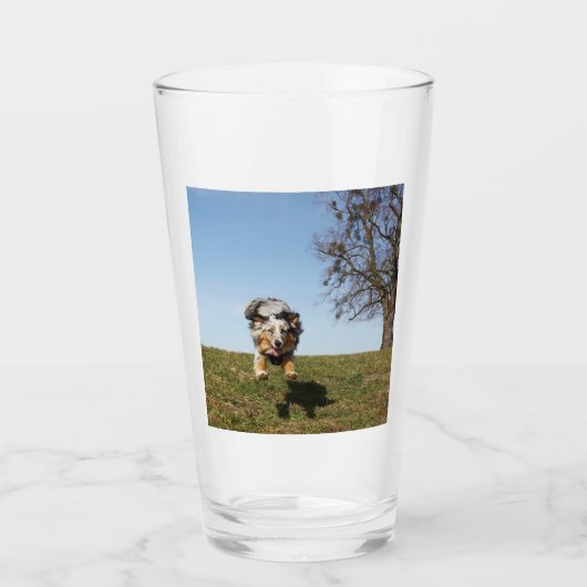 Blauer Hirtenspringer Glas (Vorderseite)
