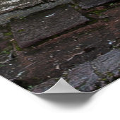 BLAUER HOLZTÜR IN WEISSEM GEBÄUDE POSTER (Ecke)