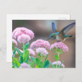 Blauer Hummingvogel Postkarte (Vorne/Hinten)