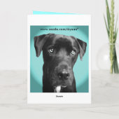 Blauer Hund Karte (Rückseite)