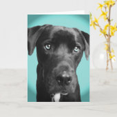 Blauer Hund Karte (Gelbe Blume)