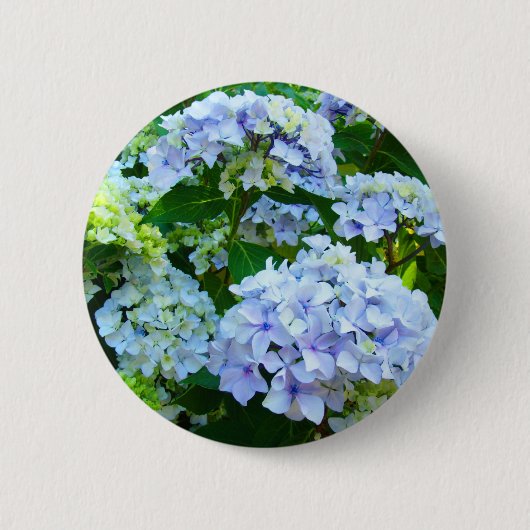 Blauer Hydrangea-Blumenknopf Hydrangeas-Garten Button (Vorderseite)