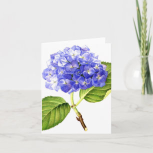 Blauer Hydrangea Karte